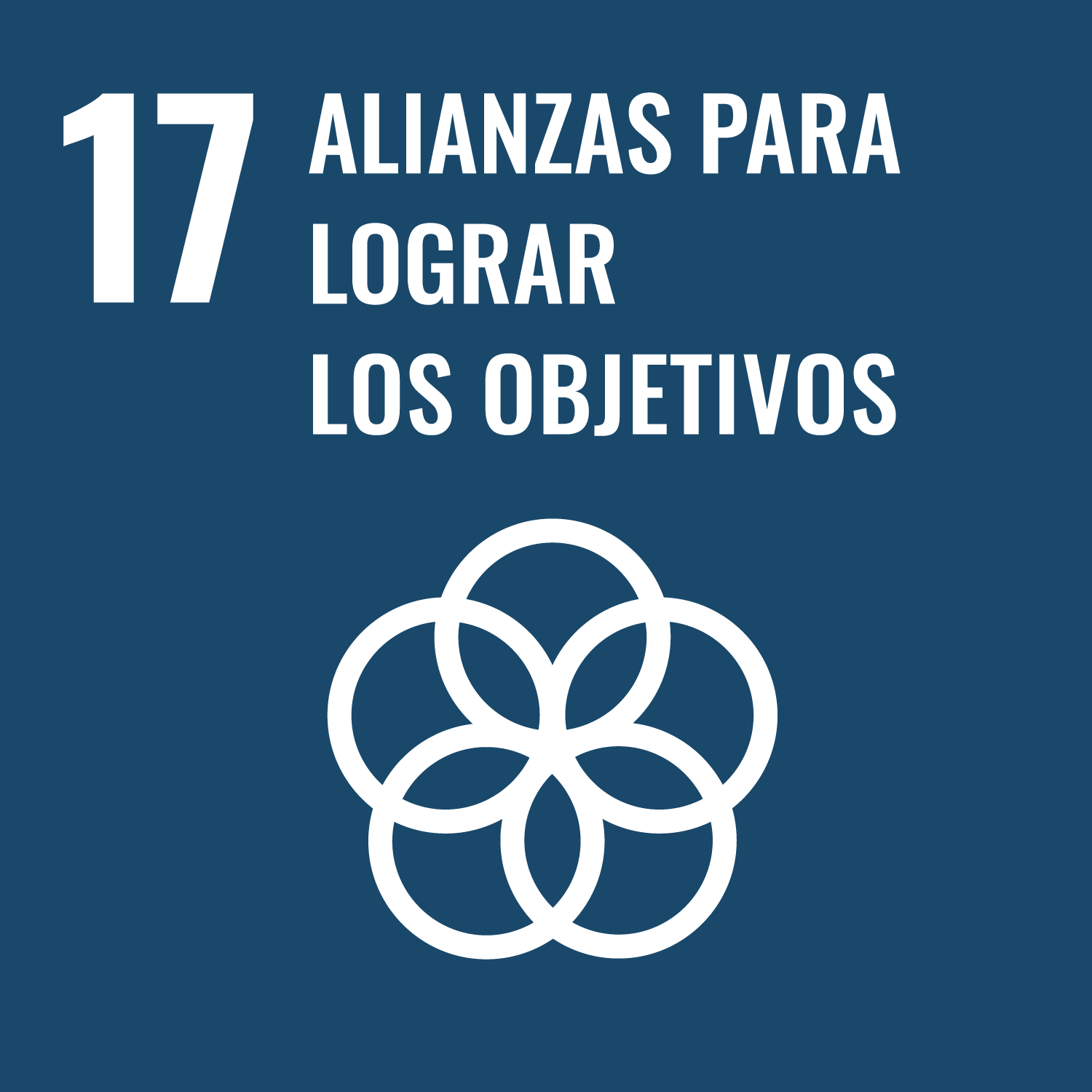 Logotipo oODS 17 Alianzas para Lograr Objetivos - Alianza MMI66 LABS